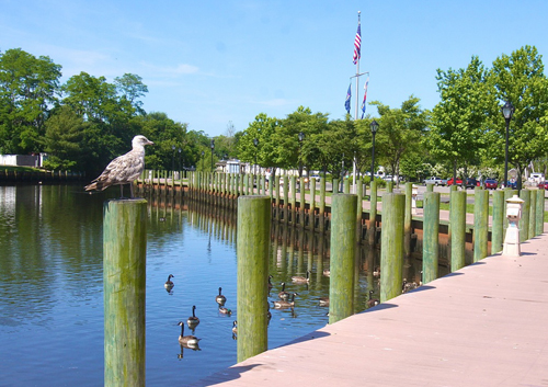 Riverhead boardwalk park Heidi Behr, Riverhead Volunteer Ambulance