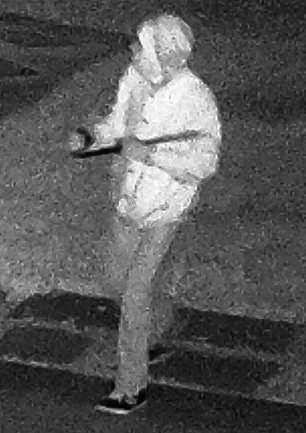 Security camera footage of the suspected burglar. (Credit: Suffolk County Crime Stoppers)