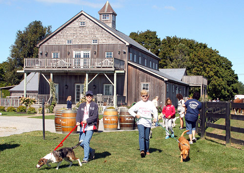 Canines at Martha Clara Vineyards Martha Clara Vineyards, Kent Animal Shelter, Long Island Wine Country