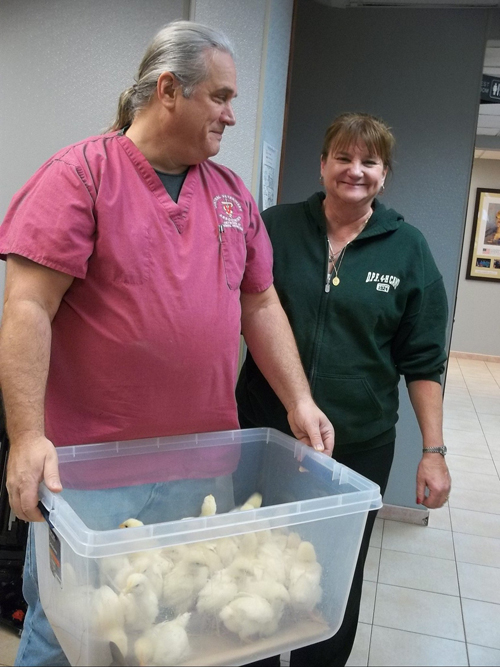 Courtesy Photo | Dr. John Charos of Central Veterinary Associates and Maria Devlin, Cornell camp administrator.