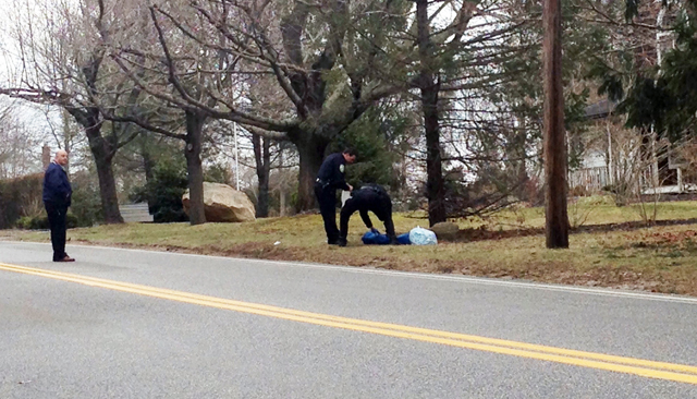 Investigators at the scene of Sunday's alleged stabbing incident. (Credit: Joe Werkmeister)