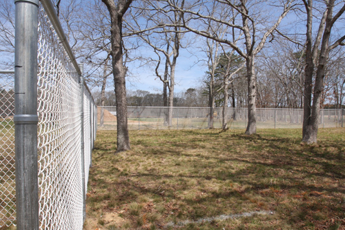 DogPark