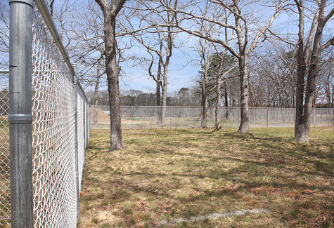 Dog_Park_BE_R