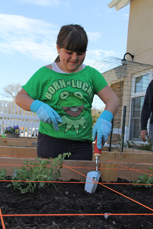 Kate Pennacchia, 9, of Hampton Bays helping plant herbs and vegetables in the Southampton Senior Services sponsored box.