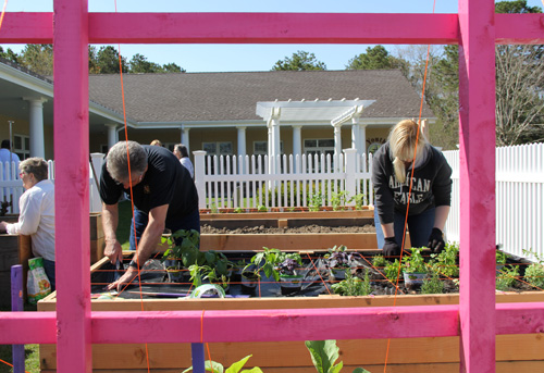 Rich Naso and daughter Denise of the Flanders / Riverside / Northampton Citizen Advisory Committee planting herbs, peppers and other vegetables in the organization's sponsored box. (Credit: Carrie Miller)