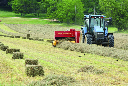 R062112_Hay1_BE_C.jpg