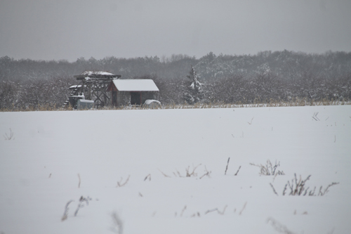 An open field in Calverton. Paul Squire photo.