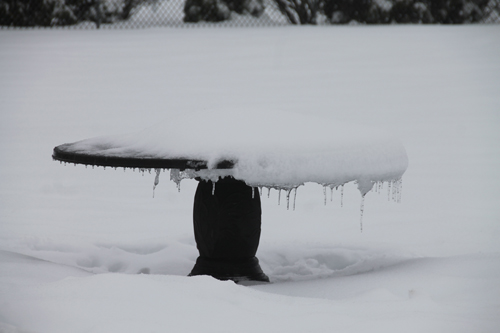 Ice blankets a table in Calverton. Paul Squire Photo.