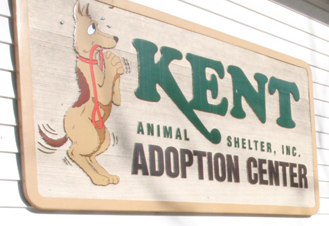 Kent Shelter