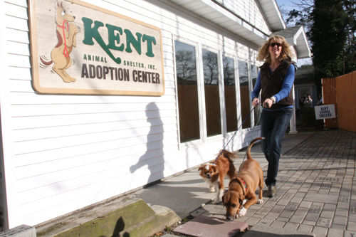 BARBARAELLEN KOCH FILE PHOTO | Pam Green of Kent Animal Shelter.