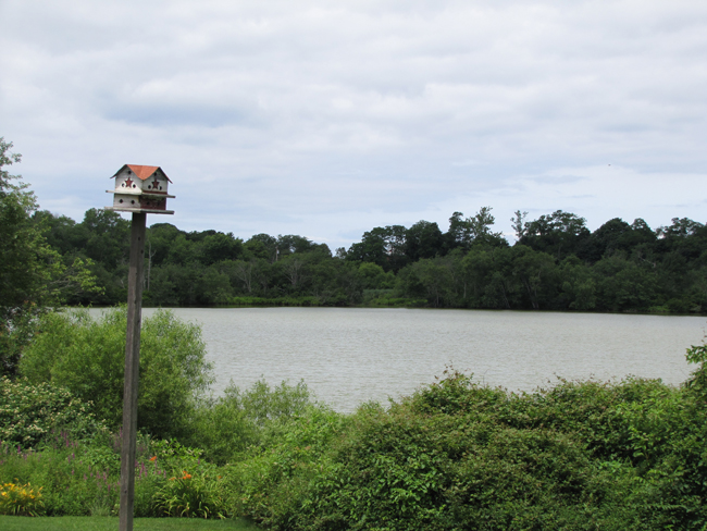 Marratooka Pond in Mattituck. Tim Gannon photo.