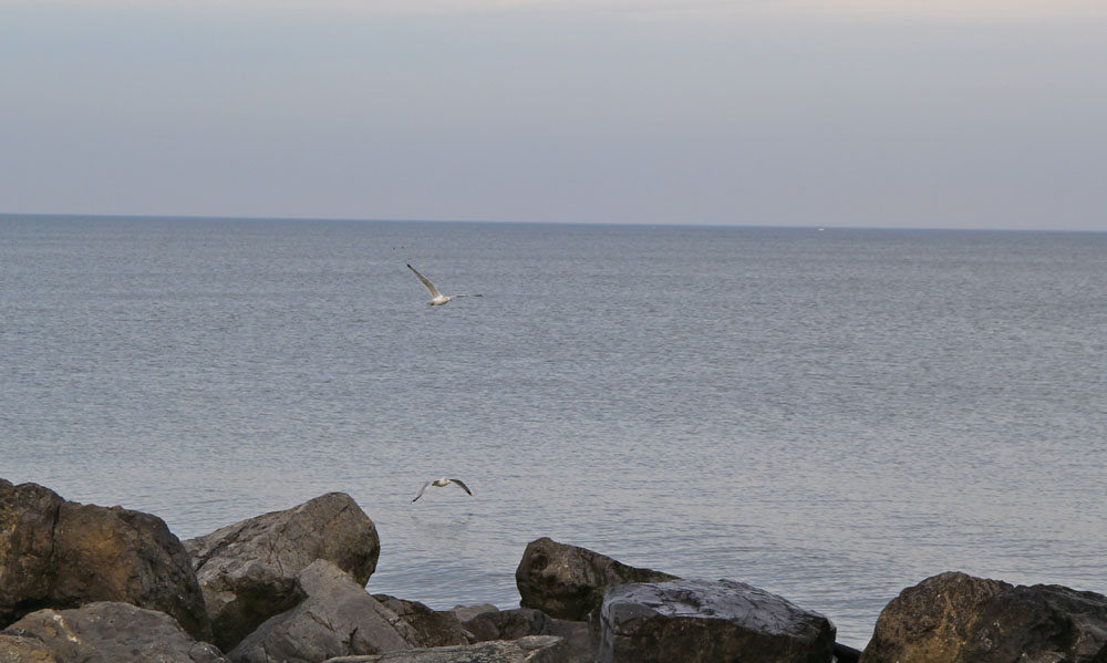 A view of Iron Pier Beach in Jamesport. (Credit: Carrie Miller)