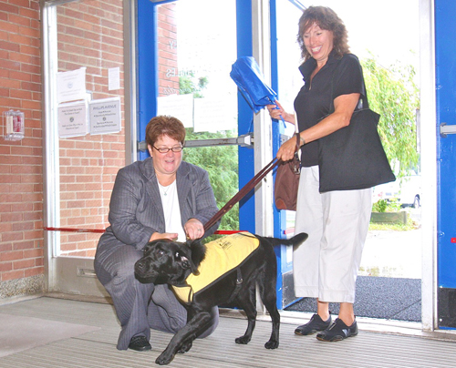 McAuley the guide dog welcomed back to Riverhead Smithtown Guide Dog Foundation, Phillips Avenue School