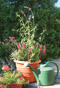 R070512_Pots_BE_C.jpg