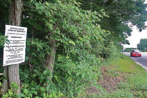 The subdivision planned across from Hering Farm on Youngs Avenue in Riverhead has been in the works for 25 years. (Credit: Barbaraellen Koch)