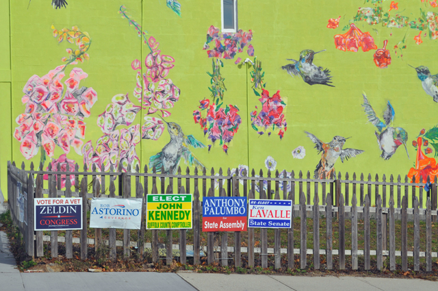 These roadway signs should be gone by next week as voters head to the polls Tuesday, Nov. 4.