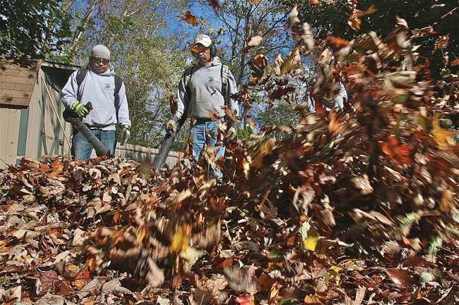 If you're looking to hire, which is columnist Grant Parpan's #1 raking tip, then Manuel Canel (left) of Canel Landscaping of Riverhead is available. Above he's cleaning up an Aquebogue yeard with his crew, Jose Canel (center) and Victor Garcia (right hidden). (Credit: Barbaraellen Koch)