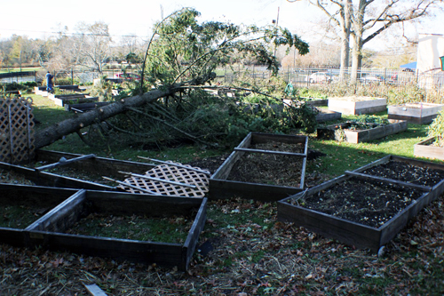 RIver and Roots Community Garden
