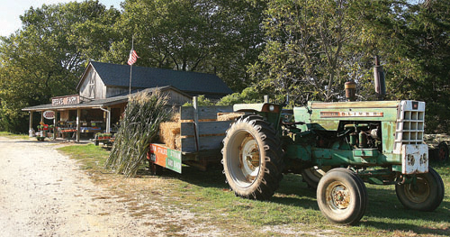 The Reeve Farm’s farmstand on Sound Avenue in Riverhead. (Credit: Barbaraellen Koch, file)