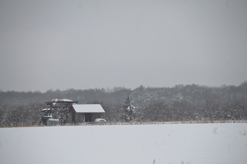 Snowy landscape in Calverton. Paul Squire photo.