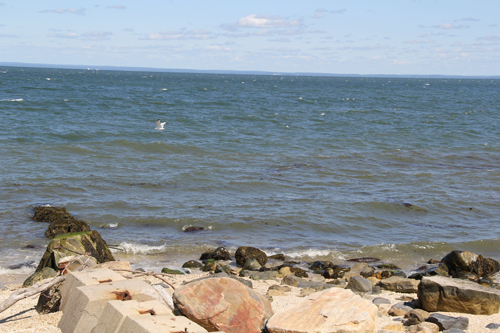CARRIE MILLER PHOTO | Coast of the Long Island Sound in Greenport.