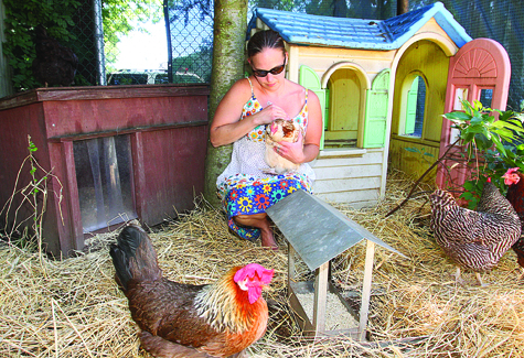 R080411_ChickCoops_BE_C.jpg