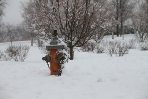 Wading River fire hydrant. Paul Squire photo.