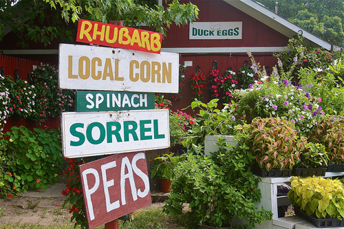 Wells Homestead Farmstand in Aquebogue. (Credit: Barbaraellen Koch)