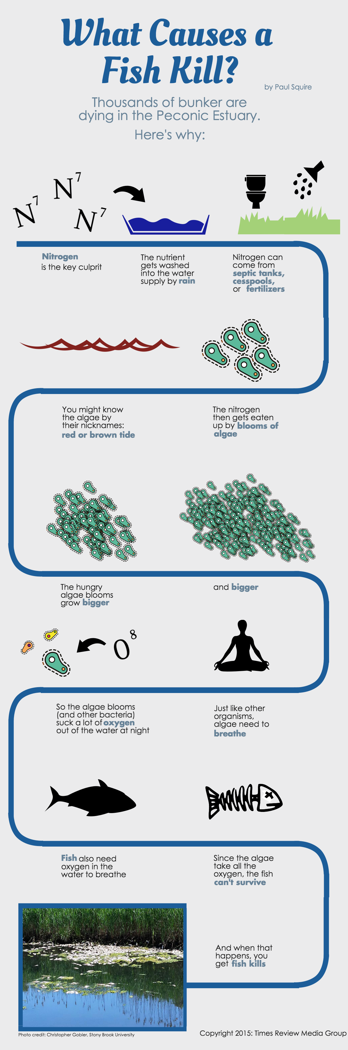 What Causes a Fish Kill- (3)