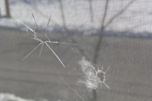 Downtown Riverhead crime