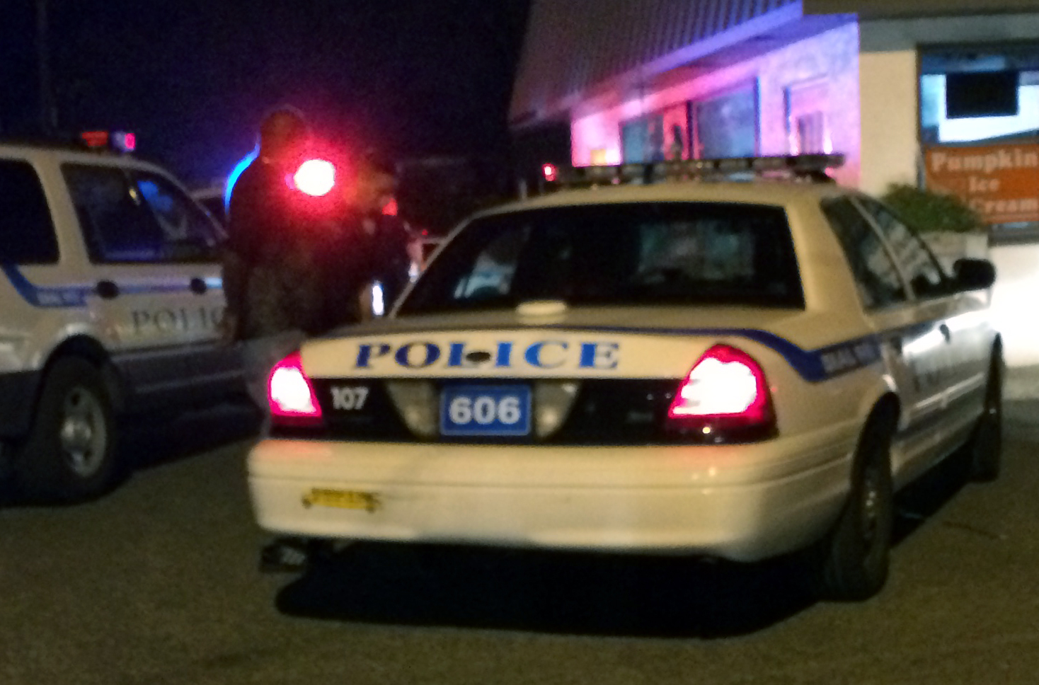One of the suspects is led into a police vehicle. (Credit: Grant Parpan)