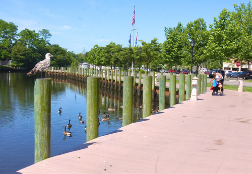 boardwalk