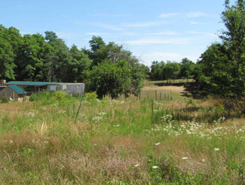 NEWS-REVIEW FILE PHOTO | Land on which a cat shelter is planned in Calverton. NEWS-REVIEW FILE PHOTO | Land on which a cat shelter is planned in Calverton.