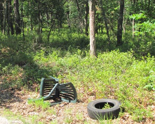 TIM GANNON PHOTO | Refuse in woods along Oak Avenue in Flanders.