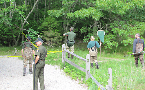 DEC officers shoot and kill alligator in Peconic River
