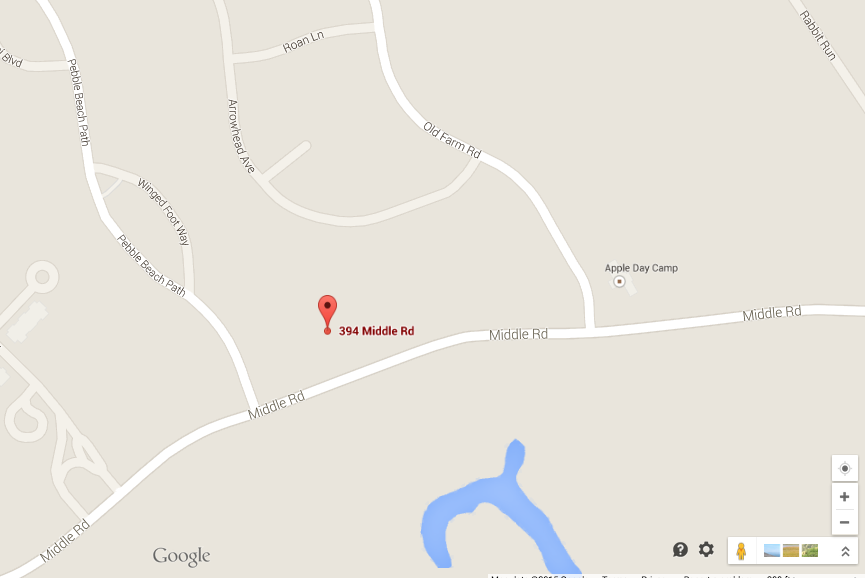 GOOGLE MAPS