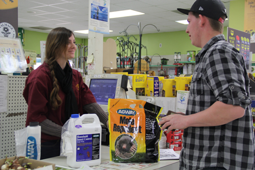 Talmage Farm Agway worker Rachel Harrison-Smith with a customer last week in Riverhead. (Credit: Carrie Miller)
