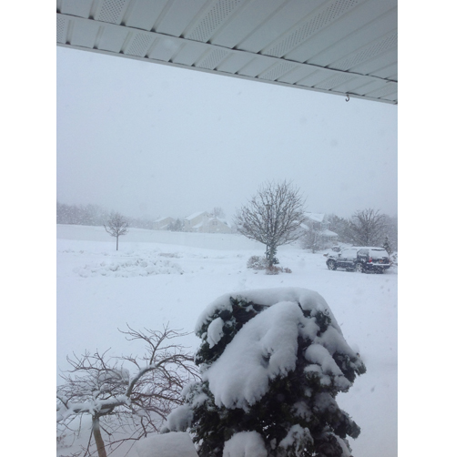 A yard in Baiting Hollow. Courtesy Terry Troise.