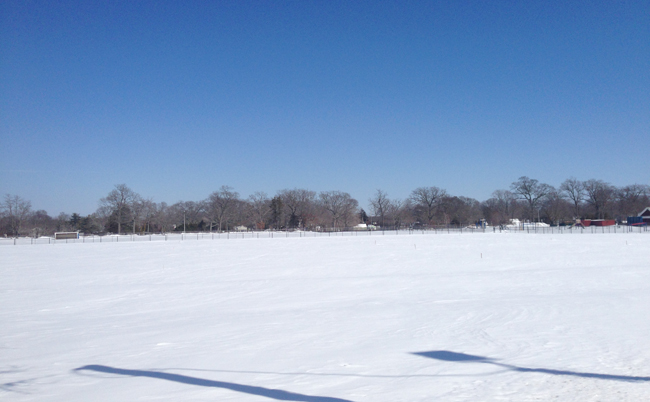 A turf field is being proposed in Riverhead that would be build behind McKillop Field. (Credit: Joe Werkmeister)
