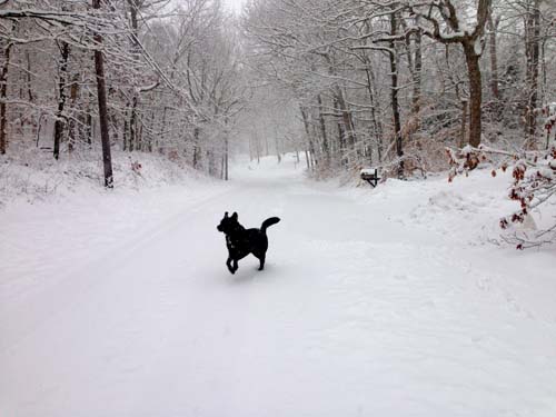 snoww3