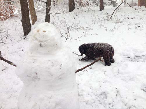 JOSEPH PINCIARO PHOTO | Snowman!