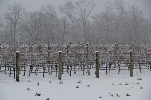 CARRIE MILLER PHOTO | The snow cover acts as an insulator, protecting soil from warming up beneath it, experts said.