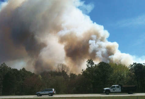 wildfire_part_2