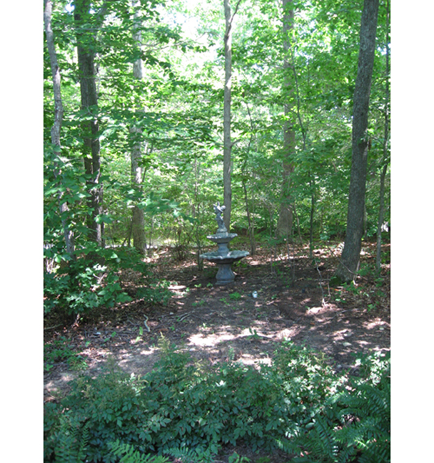 Gardening with Galligan: No fun stuff yet, but soon ...
