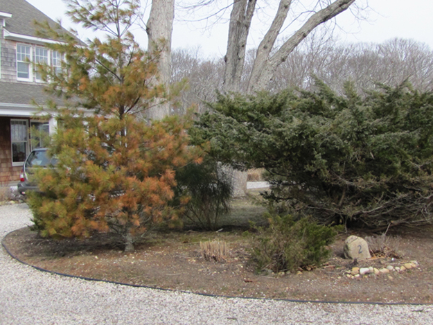 Shed plan rejected: ZBA says ‘detriment’ to neighborhood