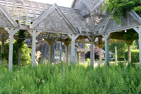 080411i_TBWS_Nursery_PB