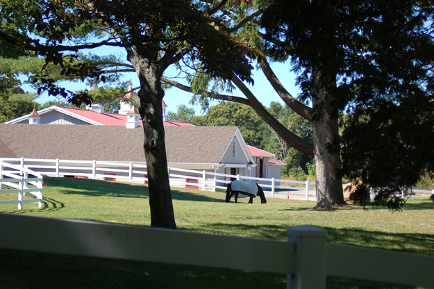 090612i_PaardHill