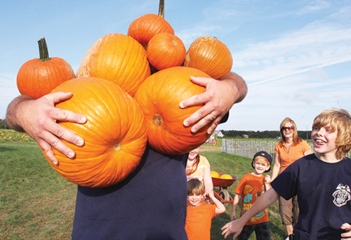 R100611_Halloween_BE_C.jpg