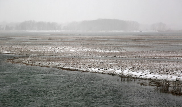 New Suffolk 9 a.m.