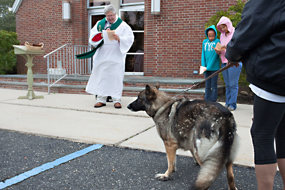 Taki, a six-year-old rescue watches the blessing.